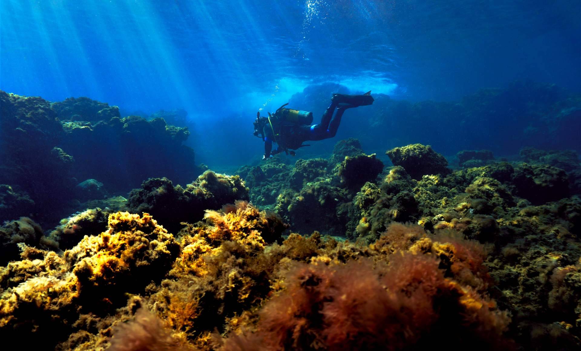alt - https://imagenesprensa.ams3.digitaloceanspaces.com/img_1d65d46f8b776af2d5da00ff7e4948dd.jpg