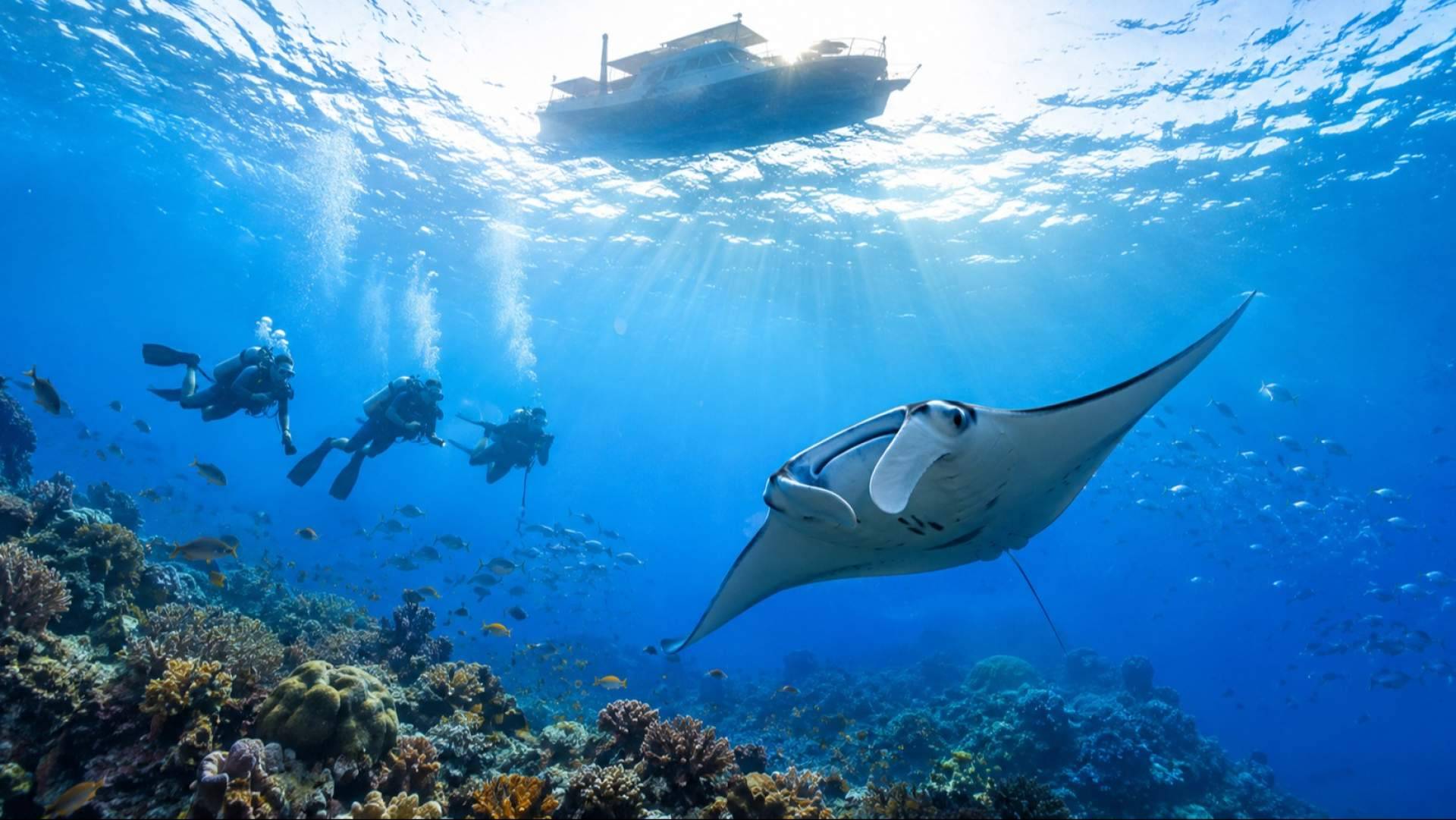 alt - https://imagenesprensa.ams3.digitaloceanspaces.com/img_4e49abd391cab8924fccee51476aa067.jpg